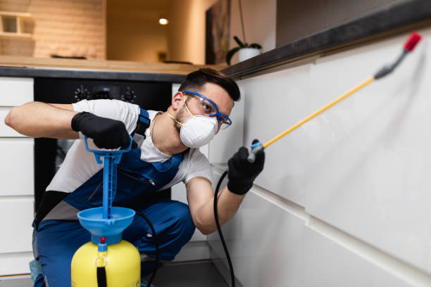 Best Best Pest Control Companies  in Melrose Park, IL