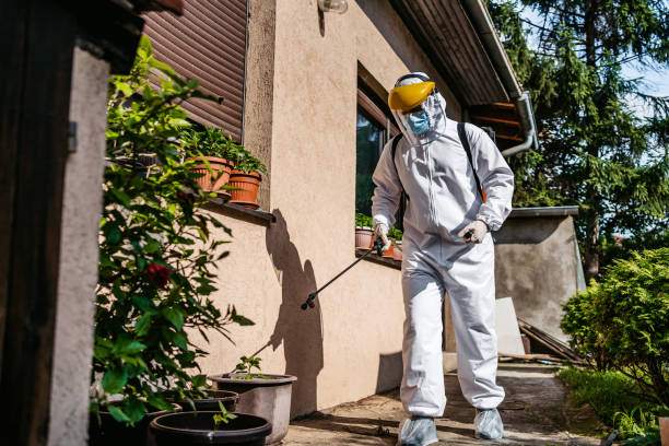 Best Best Pest Control Companies  in Melrose Park, IL