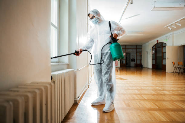 Wasp Removal Services in Melrose Park, IL