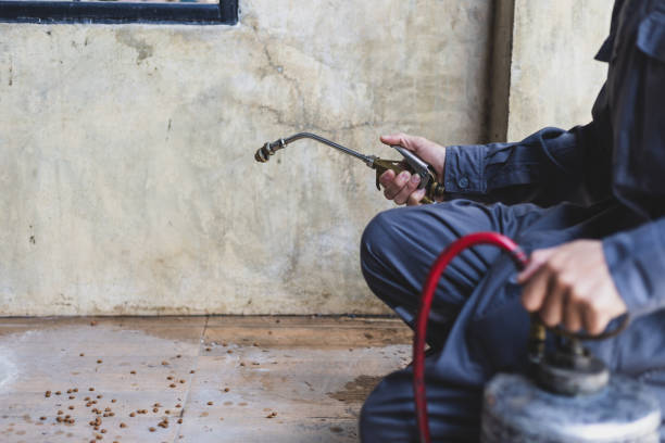 Best Residential Pest Control  in Melrose Park, IL